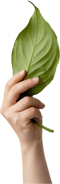 Plastimak | Hakkımızda